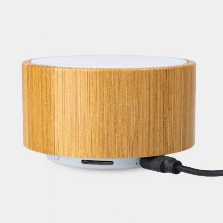 GB Wireless Speaker - GB The Green Brand