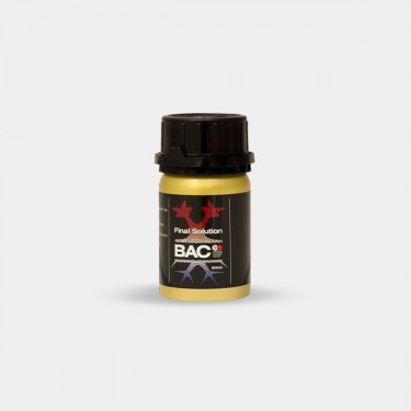 Final Solution BAC