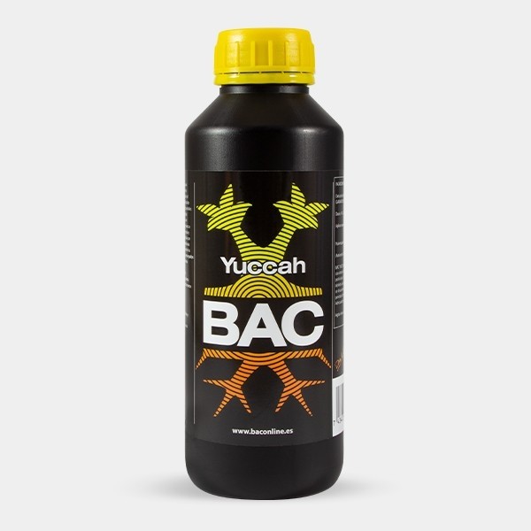Yuccah