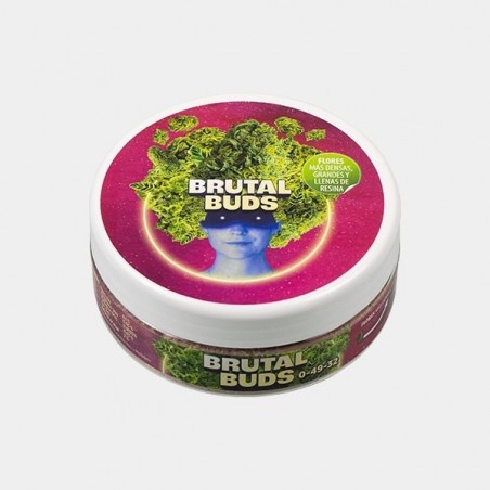 Brutal buds 1