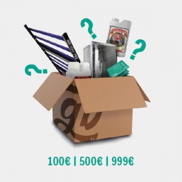 'Grower' Mystery Box - GB The Green Brand