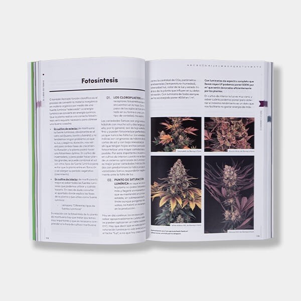 El Libro de Toni13 - GB The Green Brand