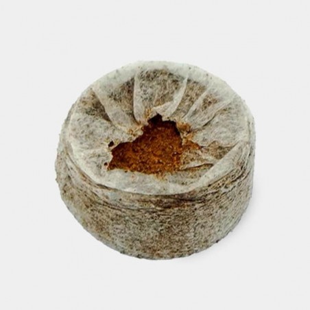 Jiffy7 Coco 35mm