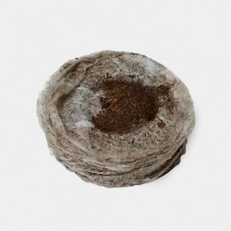 33mm Jiffy Peat Pellets for Cuttings - GB