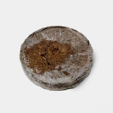Compacted peat pellets Jiffy 7 - 41/44mm - GB