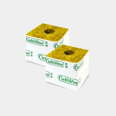 Rockwool cubes for cuttings