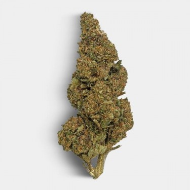 The Family REAL TALK CBD Flowers - GB The Green Brand