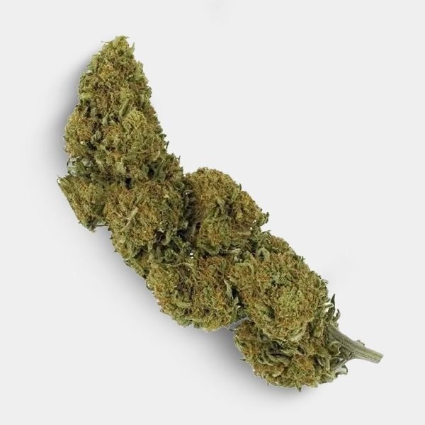 CBD Outdoor Flowers + GB Anti-Odor Toiletry Bag - Growbarato