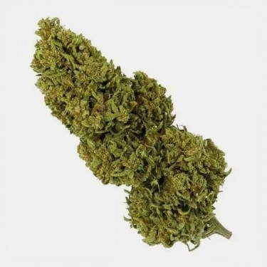 CBD Outdoor Flowers + GB Anti-Odor Toiletry Bag - Growbarato