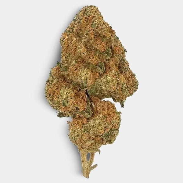 Freeze Kit - GB The Green Brand