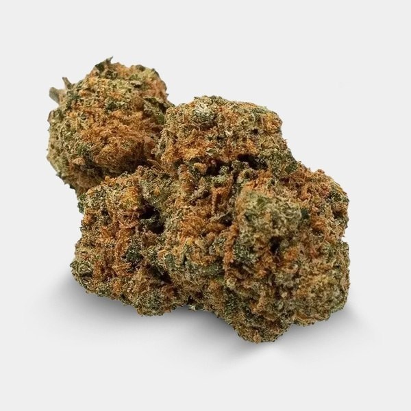 Freeze Kit - GB The Green Brand