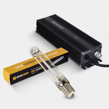 Buy Lamarck 600W Dimmable Kit - Growbarato