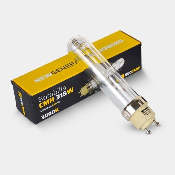 Lamarck LEC 315w Lighting Kit