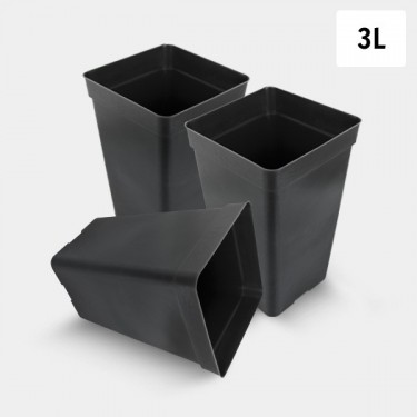 3L Square Pot Pack - GB The Green Brand