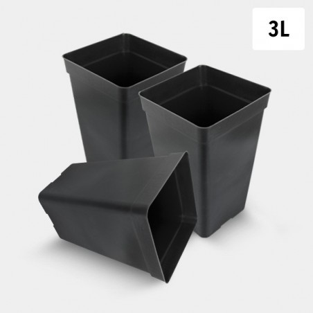 3L Square Pot Pack - GB The Green Brand