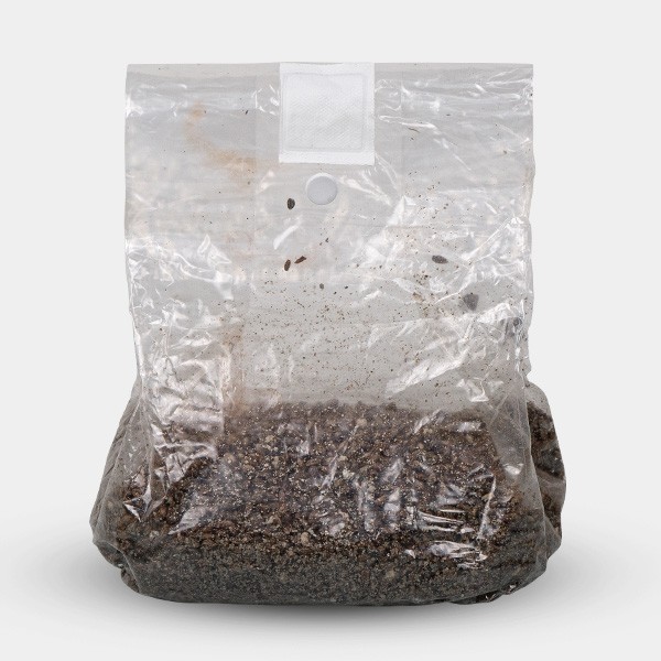 View Mushroom Substrate Grow Bag - GB The Green Brand