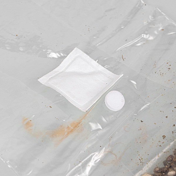 Mushroom Substrate Grow Bag - GB The Green Brand
