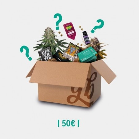 'Breeder' Mystery Box