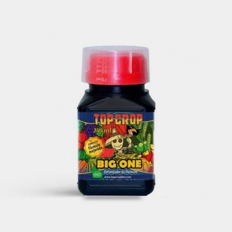 Big One by Top Crop - bloom booster - GB