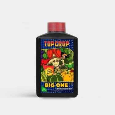Big One - Top Crop