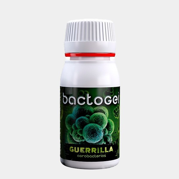 Bactogel Polymers + Bacteria