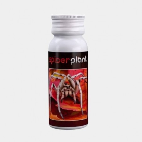 Anti Mites Spiderplant by Agrobacterias - GB