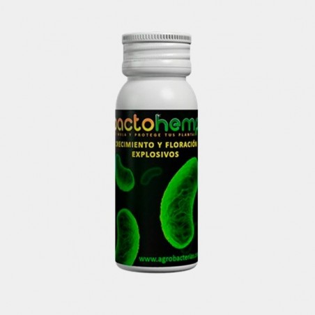 Bactohemp Growth made by Agrobaterias - Grow Barato