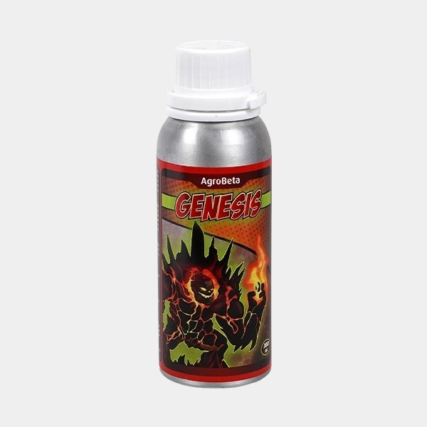 Genesis