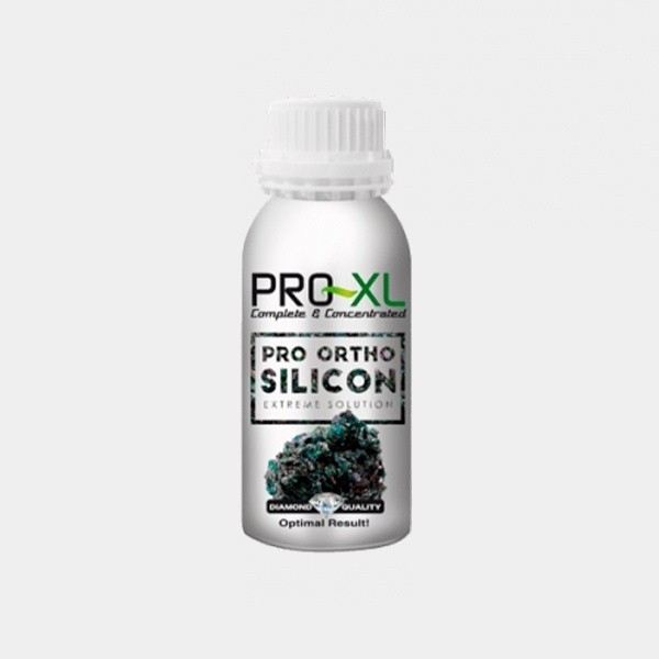 Pro Ortho Silicon Pro XL - GB The Green Brand