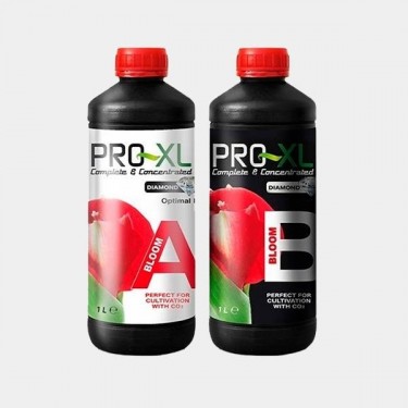 Bloom A+B by Pro XL - base fertilizer - GB