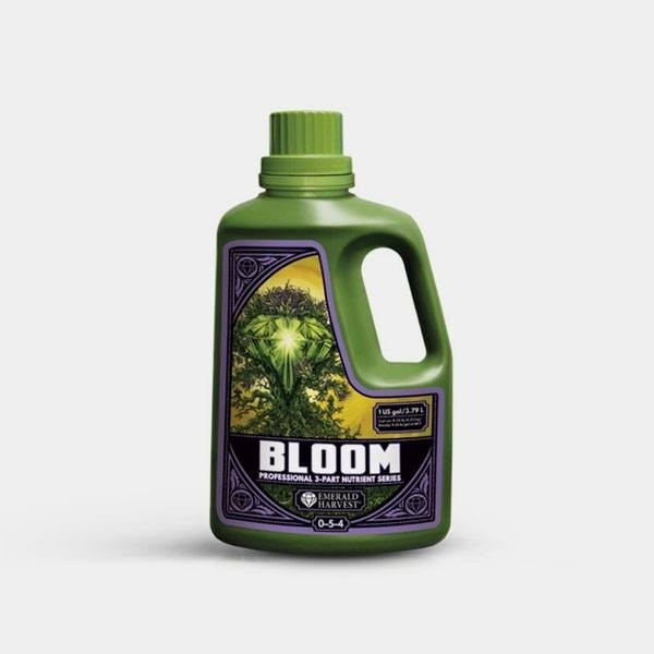 Bloom Prof 3 Parts