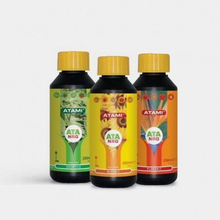 Buy ATA NRG Triangle Pack by Atami - GB