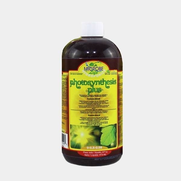 Photosynthesis Plus MicrobeLife