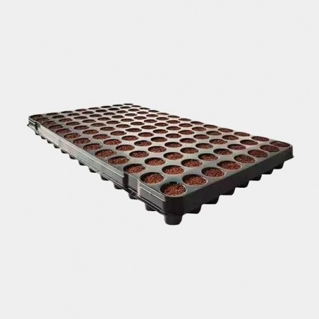 Coco Plug-in Tray 104 Alveoli - GB The Green Brand