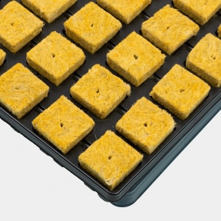 Rockwool Cube Tray for Seeds and Clones - GB