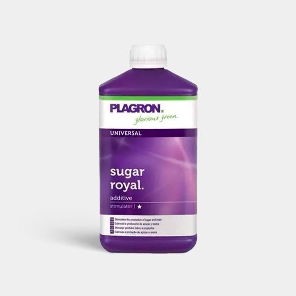 Sugar Royal