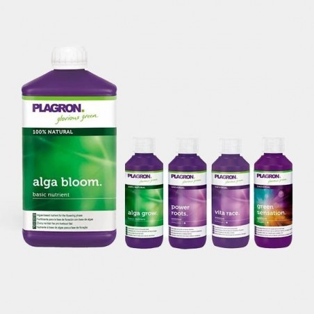 Top Grow Box Bio by Plagron - Grow Barato