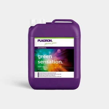 Green Sensation 5L