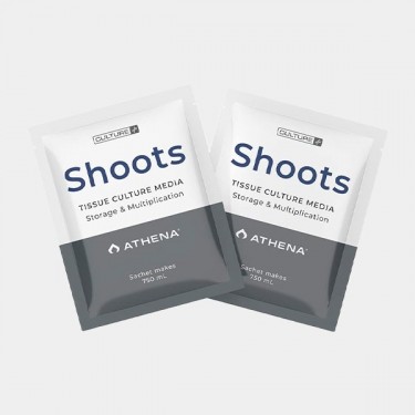 Shoots Culture Media Athena - GB The Green Brand