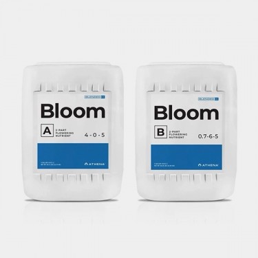 Athena Bloom A+B - GB The Green Brand