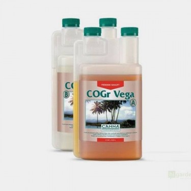 COGr Vega A+B Coco
