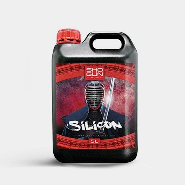Silicon
