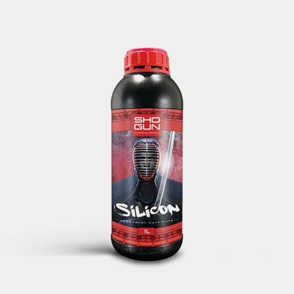 Silicon