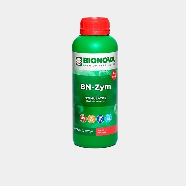 BN ZYM