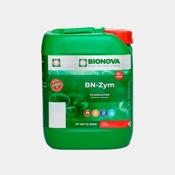 BN ZYM