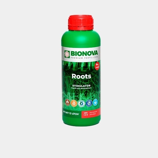 Roots Stimulator