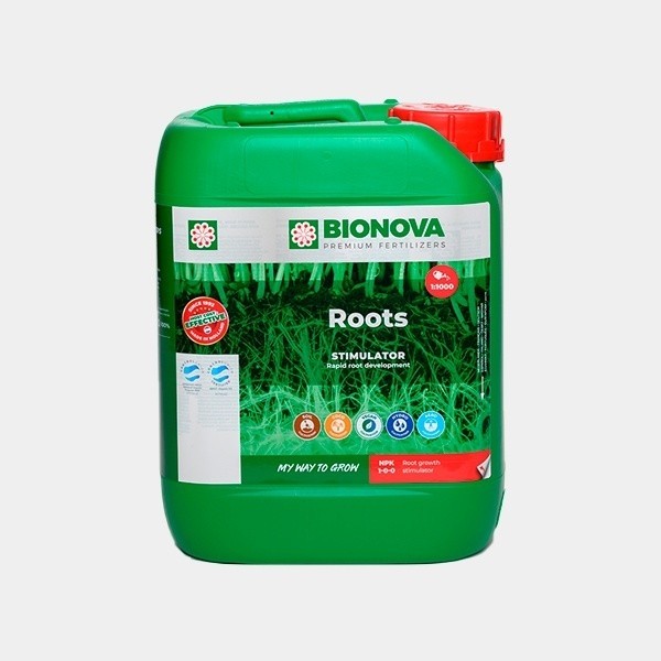 Roots Stimulator