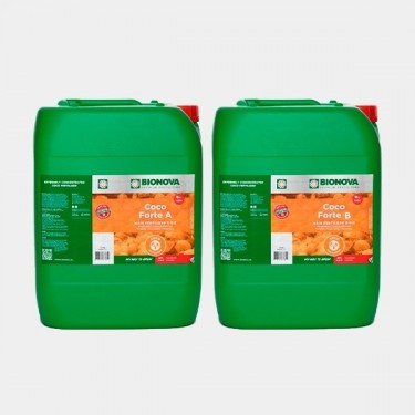 Coco Forte A + B