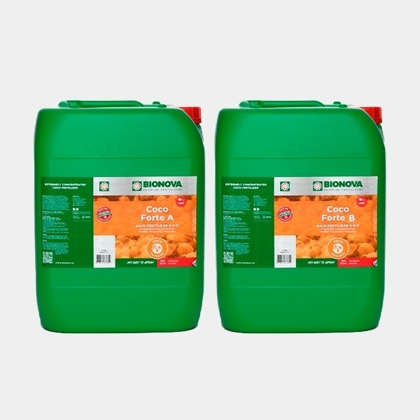 Coco Forte A + B