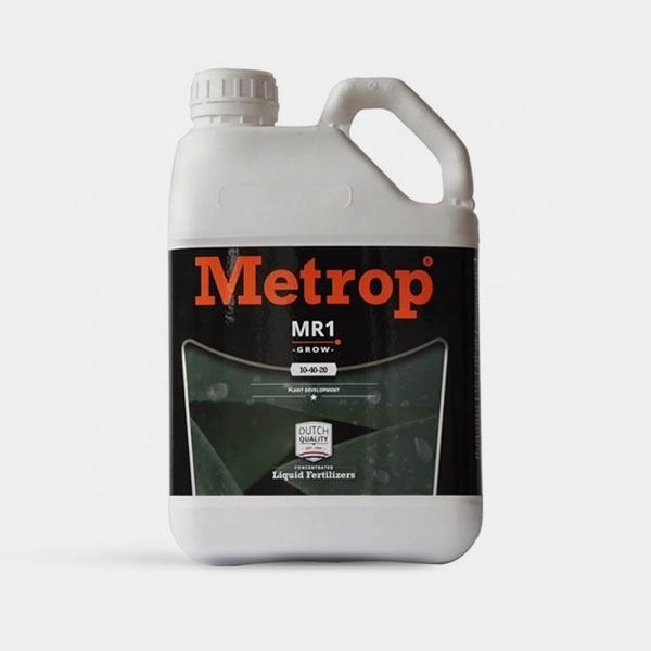 MR-1 Crecimiento (Growth)